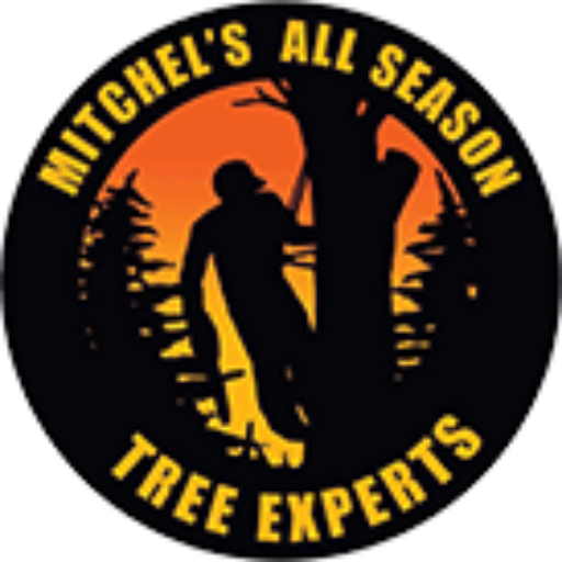 Tree Trimming & Removal Winnipeg Manitoba Professional Tree Services